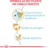 Ração Seca Royal Canin Puppy para Cães Filhotes da Raça Yorkshire