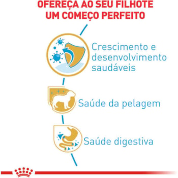 Ração Seca Royal Canin Puppy para Cães Filhotes da Raça Yorkshire Ração Seca Royal Canin Puppy para Cães Filhotes da Raça Yorkshire