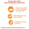Ração Úmida Royal Canin Sachê Hair & Skin para Gatos adultos - 85 g