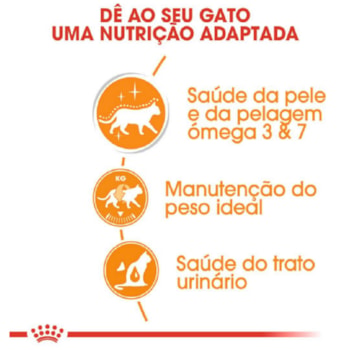 Ração Úmida Royal Canin Sachê Hair & Skin para Gatos adultos - 85 g