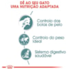 Ração Úmida Royal Canin Sachê Jelly Bolas de Pelo para Gatos Adultos - 85 g