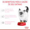 Ração Úmida Royal Canin Sachê Jelly Filhotes Kitten para Gatos Filhotes de até 12 meses - 85 g