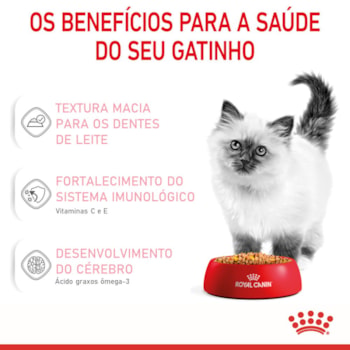 Ração Úmida Royal Canin Sachê Jelly Filhotes Kitten para Gatos Filhotes de até 12 meses - 85 g