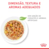 Ração Úmida Royal Canin Sachê Jelly Filhotes Kitten para Gatos Filhotes de até 12 meses - 85 g