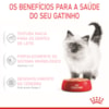 Ração Úmida Royal Canin Sachê Patê Filhotes Kitten para Gatos Filhotes de até 12 meses - 85 g