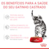 Ração Úmida Royal Canin Sachê Pedaços ao Molho para Gatos Filhotes Castrados de até 12 meses - 85 g