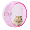 Roda Plástica Para Hamster Silent Wheel - Delphis Pet Roda Plástica Para Hamster Silent Wheel - Delphis Pet