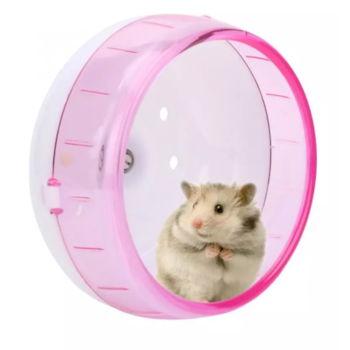 Roda Plástica Para Hamster Silent Wheel - Delphis Pet Roda Plástica Para Hamster Silent Wheel - Delphis Pet