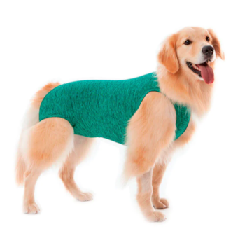 Roupa Protetora e Pós Cirúrgica Dry Verde - Pet Med Roupa Protetora e Pós Cirúrgica Dry Verde - Pet Med