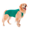Roupa Protetora e Pós Cirúrgica Dry Verde - Pet Med Roupa Protetora e Pós Cirúrgica Dry Verde - Pet Med
