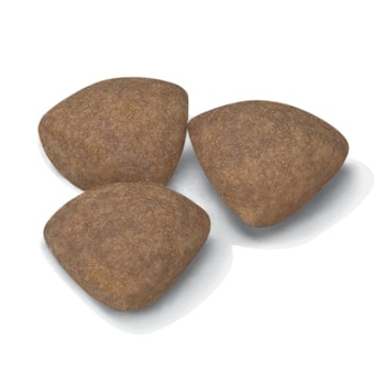 Royal Cães Mini Puppy/Filhote - Royal Canin Royal Cães Mini Puppy/Filhote - Royal Canin