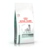 ROYAL CANIN CÃES DIABETIC ROYAL CANIN CÃES DIABETIC