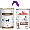 Royal Canin Cães Gastro Intestinal Lata 400g