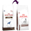 ROYAL CANIN CÃES GASTROINTESTINAL ADULTO