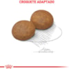 Royal Canin Cães Maxi 5+ 12kg - Royal Canin