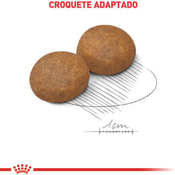 Royal Canin Cães Maxi 5+ 12kg - Royal Canin