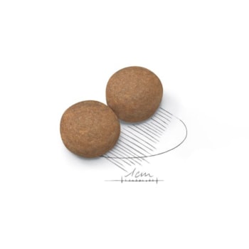 Royal Canin Cães Maxi Adultos 12kg - Royal Canin