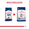 Royal Canin Cães Maxi Ageing 8+ 12kg - Royal Canin