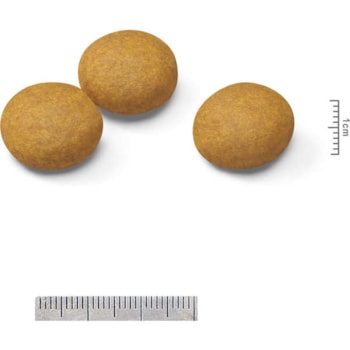 Royal Canin Cães Maxi Dermacomfort - Royal Canin Royal Canin Cães Maxi Dermacomfort - Royal Canin