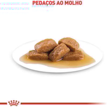 Royal Canin Cães Maxi Sachê 140g - Royal Canin Royal Canin Cães Maxi Sachê 140g - Royal Canin