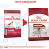 Royal Canin Cães Medium Adultos - Royal Canin Royal Canin Cães Medium Adultos - Royal Canin