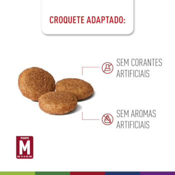 Royal Canin Cães Medium Adultos - Royal Canin Royal Canin Cães Medium Adultos - Royal Canin