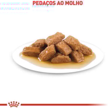 Royal Canin Cães Medium Adultos Sachê 140g - Royal Canin Royal Canin Cães Medium Adultos Sachê 140g - Royal Canin