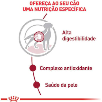 Royal Canin Cães Medium Adultos Sachê 140g - Royal Canin Royal Canin Cães Medium Adultos Sachê 140g - Royal Canin