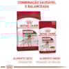 Royal Canin Cães Medium Adultos Sachê 140g - Royal Canin Royal Canin Cães Medium Adultos Sachê 140g - Royal Canin