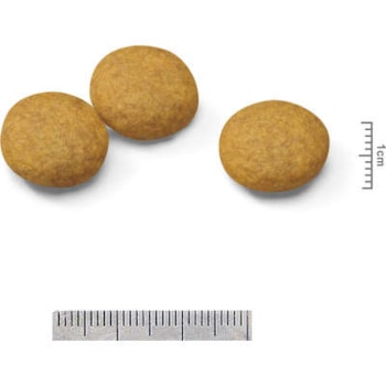 Royal Canin Cães Medium Dermacomfort - Royal Canin Royal Canin Cães Medium Dermacomfort - Royal Canin