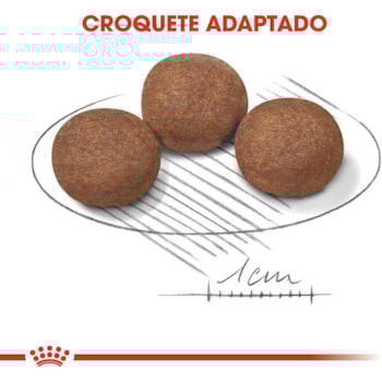 Royal Canin Cães Medium Puppy/Filhote - Royal Canin Royal Canin Cães Medium Puppy/Filhote - Royal Canin