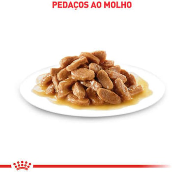 Royal Canin Cães Medium Puppy/Filhotes Sachê 140g - Royal Canin Royal Canin Cães Medium Puppy/Filhotes Sachê 140g - Royal Canin