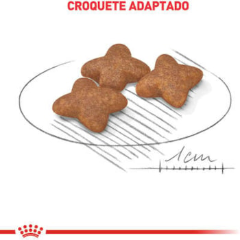 Royal Canin Cães Mini Adulto - Royal Canin Royal Canin Cães Mini Adulto - Royal Canin