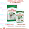 Royal Canin Cães Mini Adulto Sachê 85g - Royal Canin Royal Canin Cães Mini Adulto Sachê 85g - Royal Canin