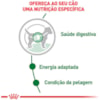 Royal Canin Cães Mini Adulto Sachê 85g - Royal Canin