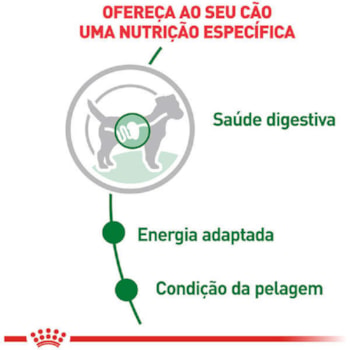 Royal Canin Cães Mini Adulto Sachê 85g - Royal Canin Royal Canin Cães Mini Adulto Sachê 85g - Royal Canin