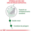Royal Canin Cães Mini Ageing 12+ Sachê 85g - Royal Canin