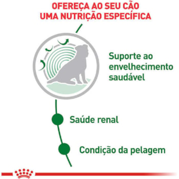 Royal Canin Cães Mini Ageing 12+ Sachê 85g - Royal Canin