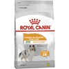 Royal Canin Cães Mini Coat Care/Cuidado da Pelagem 2,5kg - Royal Canin