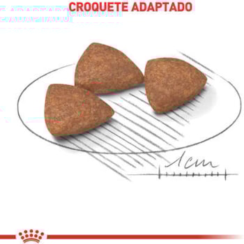 Royal Canin Cães Mini Indoor Adulto - Royal Canin Royal Canin Cães Mini Indoor Adulto - Royal Canin