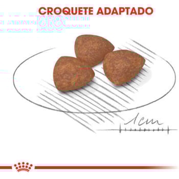 Royal Canin Cães Mini Indoor Puppy/Filhote - Royal Canin Royal Canin Cães Mini Indoor Puppy/Filhote - Royal Canin