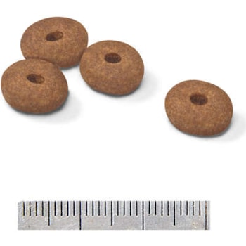 Royal Canin Cães Mini Light - Royal Canin Royal Canin Cães Mini Light - Royal Canin