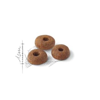 Royal Canin Fit Gatos Adultos - Royal Canin Royal Canin Fit Gatos Adultos - Royal Canin