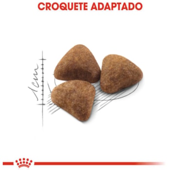 Royal Canin Gatos Adultos Indoor - Royal Canin Royal Canin Gatos Adultos Indoor - Royal Canin