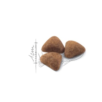 Royal Canin Gatos Adultos Indoor - Royal Canin Royal Canin Gatos Adultos Indoor - Royal Canin
