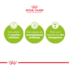 Royal Canin Gatos Adultos Indoor - Royal Canin