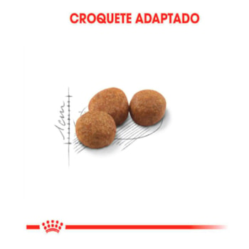 Royal Canin Gatos Adultos Sterilised/Castrados - Royal Canin