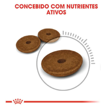 Royal Canin Gatos Digestive Care - Royal Canin Royal Canin Gatos Digestive Care - Royal Canin