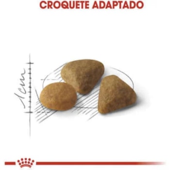 Royal Canin Gatos Exigent - Para Gatos Adultos com Paladar Exigente