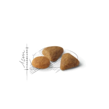 Royal Canin Gatos Exigent - Royal Canin Royal Canin Gatos Exigent - Royal Canin